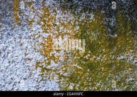 Mur avec moule et mousse. Moisissure et mousse verte sur la texture plaquée de la paroi. Zone négligée nécessitant un entretien. Banque D'Images