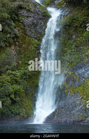 Cascade, Doubtful Sound, parc national Fiordland, Île du Sud, Nouvelle-Zélande Banque D'Images