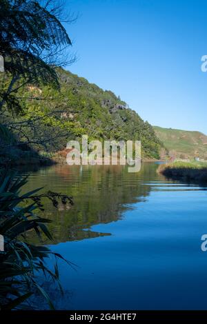 Rivière Awakino, Waikato, Île du Nord, Nouvelle-Zélande Banque D'Images