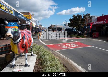 Sculpture d'une vache dans le centre-ville de Morrinsville, représentant l'élevage laitier de la région, Waikato, Île du Nord, Nouvelle-Zélande Banque D'Images