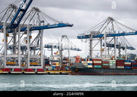 Bateau à conteneurs et grues dans le port d'Auckland, Île du Nord, Nouvelle-Zélande Banque D'Images