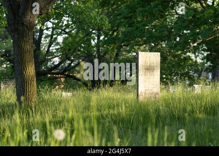 Pierres tombales dans un cimetière pacifique étant récupérées par la nature Banque D'Images