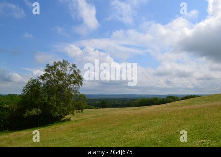 Meadows et vues à IDE Hill, Kent, en juin sur une partie ensoleillée/nuageux journée. IDE Hill est sur la crête de Greensand de collines. Vue sud sur Low Weald Banque D'Images