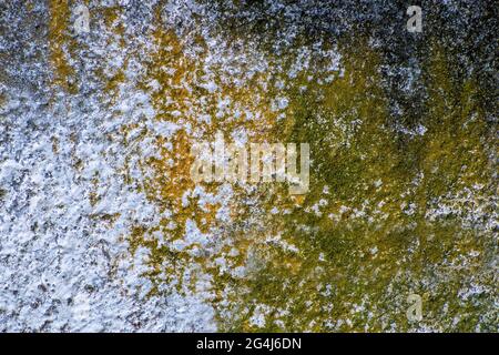 Mur avec moule et mousse. Moisissure et mousse verte sur la texture plaquée de la paroi. Zone négligée nécessitant un entretien. Banque D'Images