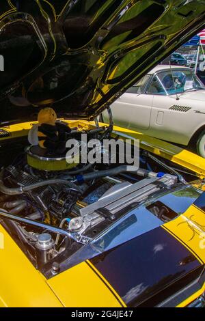 Plan vertical d'un capot ouvert d'une voiture jaune-noir Banque D'Images