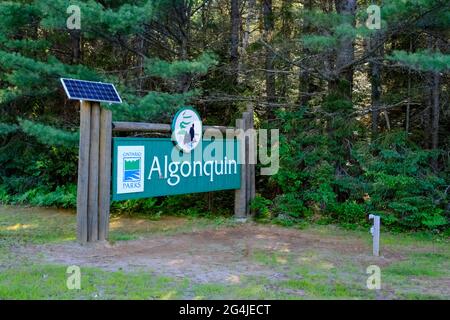 Parc provincial Algonquin, Ontario, Canada - le 16 juin 2021 : panneau en bois de Parcs Ontario à l'entrée du parc Algonquin, près de la porte est sur la route Banque D'Images