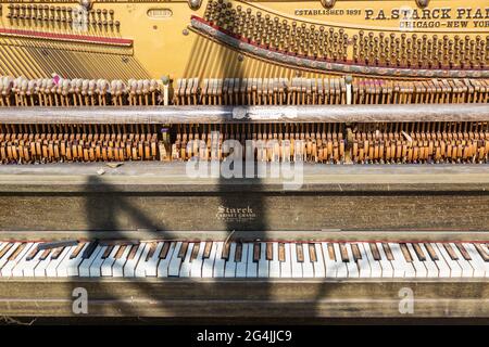 Les clés, les marteaux et les cordes d'un piano droit P. A. Starck abandonné. Banque D'Images
