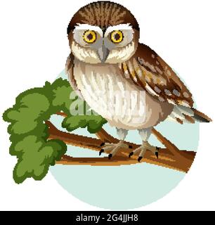 Hibou de l'elf debout sur la branche dans le style de dessin animé isolé sur l'illustration de fond blanc Illustration de Vecteur