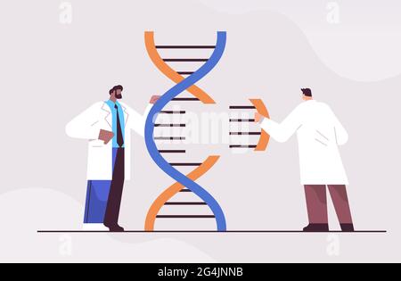 Mélanger les scientifiques de race travaillant avec des chercheurs de l'ADN faisant des expériences dans le test de l'ADN de laboratoire concept de diagnostic génétique Illustration de Vecteur