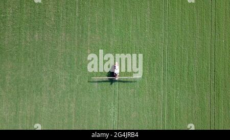 Pulvérisation agricole. Les machines agricoles pulvérisent de l'insecticide dans le champ vert. Banque D'Images