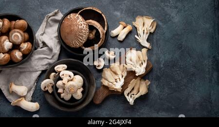 Variété de champignons crus sur fond sombre. Cognep alimentaire végétalien. Vue de dessus, plan d'affichage, espace de copie, panorama Banque D'Images