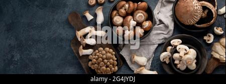 Variété de champignons crus sur fond sombre. Cognep alimentaire végétalien. Vue de dessus, plan d'affichage, espace de copie, panorama Banque D'Images