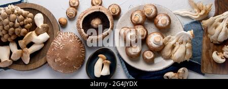 Variété de champignons crus sur fond gris clair. Cognep alimentaire végétalien. Panorama, vue de dessus, pose à plat Banque D'Images