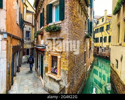 Vue arrière des gens qui marchent un chien dans la Venise rue Banque D'Images