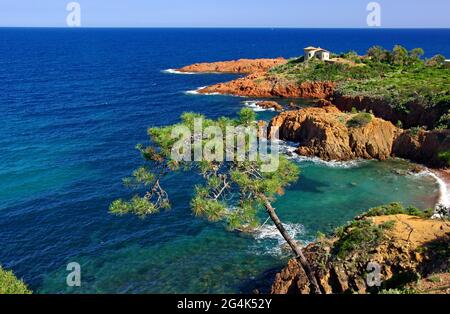 FRANCE. VAR (83) CÔTE D'ESTEREL, POINTE DU CAP ROUX, CORNICHE D'OR Banque D'Images