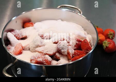 fraises mûres dans une casserole recouverte de sucre blanc Banque D'Images