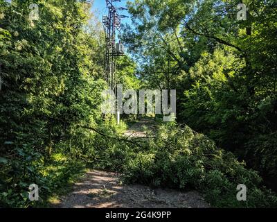 Munich, Bavière, Allemagne. 22 juin 2021. Le matin, après un déversage torrentiel et des vents extrêmement forts ont frappé la région de Munich, des arbres tombés et des branches lâches, ainsi que des débris dans les rues, comme sur une route d'urgence à Langwiedersee dans l'ouest de Munich, en Allemagne. Credit: Sachelle Babbar/ZUMA Wire/Alay Live News Banque D'Images