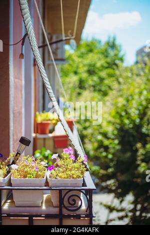 petit balcon confortable avec jalousie et plein de fleurs, photo verticale Banque D'Images