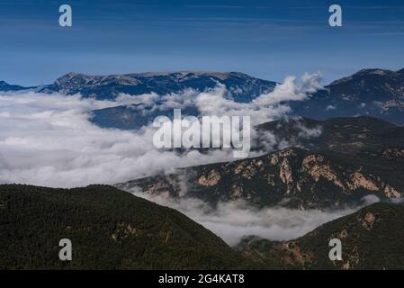 Chaîne de montagnes du Port del Comte vue depuis le massif des Rasos de Peguera en été (Berguedà, Catalogne, Espagne, Pyrénées) Banque D'Images