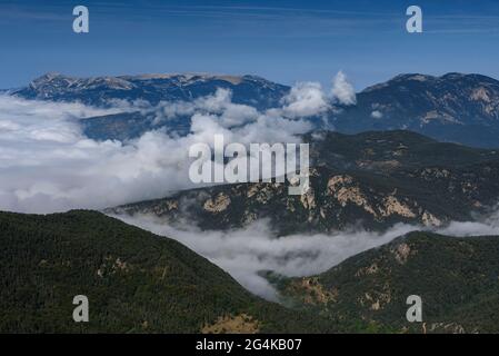 Chaîne de montagnes du Port del Comte vue depuis le massif des Rasos de Peguera en été (Berguedà, Catalogne, Espagne, Pyrénées) Banque D'Images