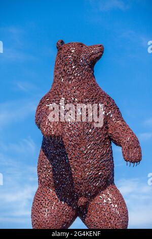 L'œuvre de Dunbar Bear du sculpteur écossais Andy Scott rend hommage au naturaliste et restaurationniste John Muir Banque D'Images