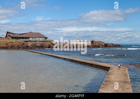 La piscine extérieure et le centre des oiseaux de mer, North Berwick, East Lothian. Banque D'Images