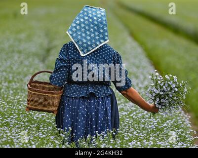 22 juin 2021, Brandebourg, Dürrenhofe: Gisela Christl (Spreewald Christl) se dresse en costume sorabe-Wendish sur la touche d'une conférence de presse sur la fleur de lin dans un domaine de la coopérative agricole Unterspreewald, par exemple avec du lin d'huile en fleur. Le lin, dont les meuleuses pressent l'huile de lin « Preewald », pousse sur environ 160 hectares de terres arables dans la région du Spreewald. En raison du temps chaud, les cultures de lin commencent actuellement à fleurir. La graine de lin est une culture traditionnelle du Spreewald. La production d'huile de lin est enracinée dans la région depuis des générations. Banque D'Images