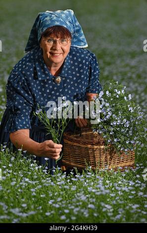 22 juin 2021, Brandebourg, Dürrenhofe: Gisela Christl (Spreewald Christl) se dresse en costume sorabe-Wendish sur la touche d'une conférence de presse sur la fleur de lin dans un domaine de la coopérative agricole Unterspreewald, par exemple avec du lin d'huile en fleur. Le lin, dont les meuleuses pressent l'huile de lin « Preewald », pousse sur environ 160 hectares de terres arables dans la région du Spreewald. En raison du temps chaud, les cultures de lin commencent actuellement à fleurir. La graine de lin est une culture traditionnelle du Spreewald. La production d'huile de lin est enracinée dans la région depuis des générations. Banque D'Images