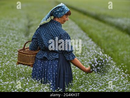 22 juin 2021, Brandebourg, Dürrenhofe: Gisela Christl (Spreewald Christl) se dresse en costume sorabe-Wendish sur la touche d'une conférence de presse sur la fleur de lin dans un domaine de la coopérative agricole Unterspreewald, par exemple avec du lin d'huile en fleur. Le lin, dont les meuleuses pressent l'huile de lin « Preewald », pousse sur environ 160 hectares de terres arables dans la région du Spreewald. En raison du temps chaud, les cultures de lin commencent actuellement à fleurir. La graine de lin est une culture traditionnelle du Spreewald. La production d'huile de lin est enracinée dans la région depuis des générations. Banque D'Images