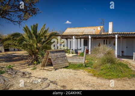 Pêche de Vicenç sur l'île de Buda dans le delta de l'Èbre (Tarragone, Catalogne, Espagne) ESP: Pesquería d'en Vicenç, en la isla de Buda del Delta del Ebro Banque D'Images