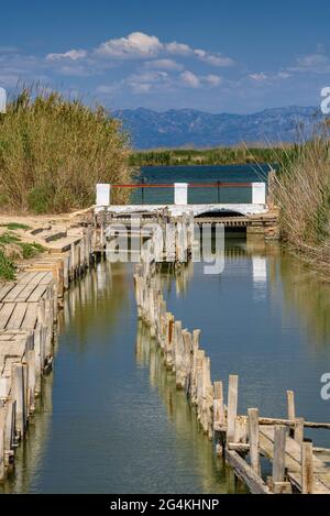 Pêche de Vicenç sur l'île de Buda dans le delta de l'Èbre (Tarragone, Catalogne, Espagne) ESP: Pesquería d'en Vicenç, en la isla de Buda del Delta del Ebro Banque D'Images