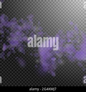 Pétales de fleurs violettes tombant. Fleurs exotiques romantiques tombant de pluie. Pétale volante sur fond carré transparent. Amour, romance concept. Génial Illustration de Vecteur