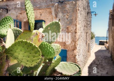 Marzamemi Alley , Sicile, Italie, Europe Banque D'Images