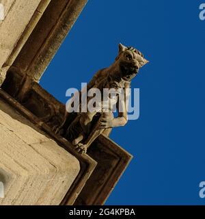 Démons adultes et enfants sur Église Cathédrale Saint-Siffrein, l'ancienne cathédrale de Carpentras, Provence-Alpes-Côte d'Azur, construit en style gothique sur les ordres du Pape Benoît XIII La construction a commencé en 1409 et s'est poursuivie pendant 150 ans, sept architectes différents supervisant le travail. Banque D'Images