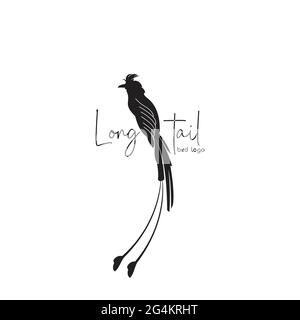 inspiration exclusive pour le logo oiseau à queue longue Illustration de Vecteur