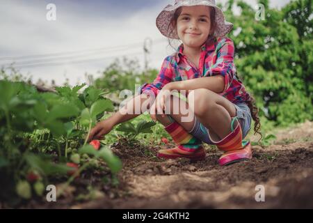 Petite fille cueillant des fraises sur un champ de ferme. Fraise dans une main d'enfant sur fond de fleurs. Banque D'Images