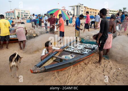 Activités de pêche des pêcheurs locaux à Puri, Odisha, la plage maritime touristique la plus populaire de l'est de l'Inde. Banque D'Images