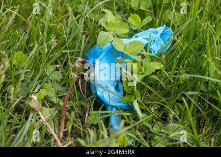 Utilisé gants en caoutchouc bleu en cours de litière sur l'herbe. Les gens font des gants. Pandémie de coronavirus Banque D'Images