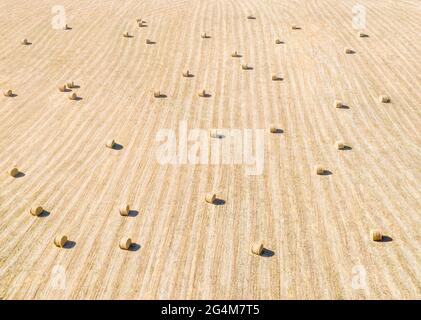 Champ de foin à distance, panorama aérien avec motif rayé et balles de foin en rangée Banque D'Images