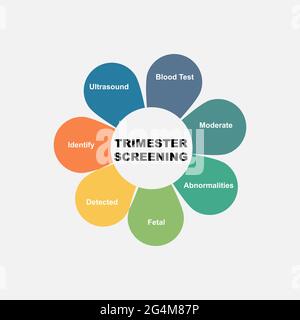 Concept de diagramme avec texte et mots-clés de screening de trimestre. EPS 10 isolé sur fond blanc Illustration de Vecteur