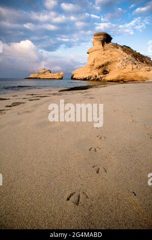 FRANCE (2A). CORSE, CORSE DU SUD, CORSE DU SUD. BONIFACIO, CAP PERTUSATU, AVEC LA PLAGE DE SAINT ANTOINE, LE SPHINX ET LE BATEAU DÉLAISSÉ. Banque D'Images