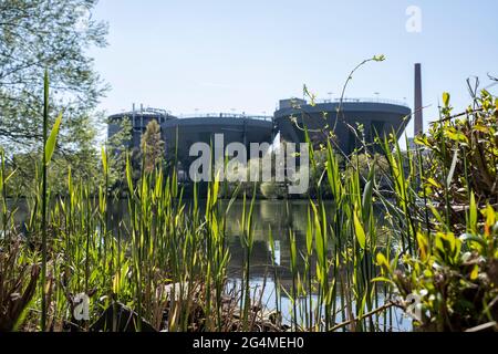 Usine de traitement biologique des eaux usées d'Allessa GmbH (anciennement Cassella AG) sur le main à Francfort, à Fechenheim Banque D'Images