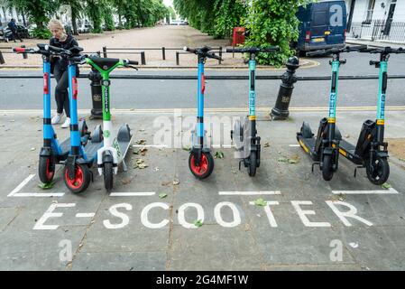 Londres, Royaume-Uni. 22 juin 2021. Location de trottinettes garées dans un parking désigné sur King’s Road à Chelsea. Ces véhicules font partie d'un programme de location de scooter électronique d'essai lancé le lundi 7 juin, pour une période initiale de 12 mois, permettant aux piétons de louer un véhicule de conduite légalement, mais uniquement dans certains quartiers de la capitale, tant que les règlements sont respectés. En revanche, les scooters électroniques privés, bien que populaires pour beaucoup, restent illégaux sur les routes et les trottoirs publics. Credit: Stephen Chung / Alamy Live News Banque D'Images