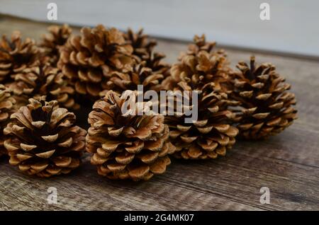 Assortiment de pommes de pin sur la décoration Banque D'Images