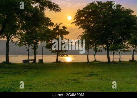 Magnifique paysage coréen d'été à Séoul. Lever du soleil et arbres au parc de la rivière Hangang à Séoul. Banque D'Images