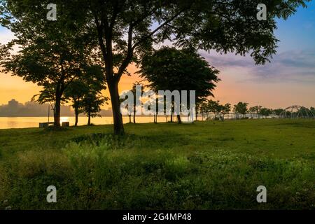 Magnifique paysage coréen d'été à Séoul. Lever du soleil et arbres au parc de la rivière Hangang à Séoul. Banque D'Images