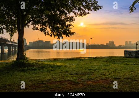 Magnifique paysage coréen d'été à Séoul. Lever du soleil et arbres au parc de la rivière Hangang à Séoul. Banque D'Images