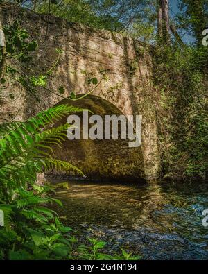 Paysage irlandais. Vieux pont en pierre sur la rivière Inch dans le nord de Wexford. Irlande. Banque D'Images