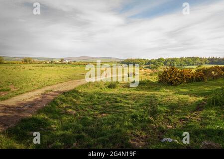 Paysage irlandais. Rural, route de terre à travers le champ dans le nord de Wexford. Irlande. Banque D'Images