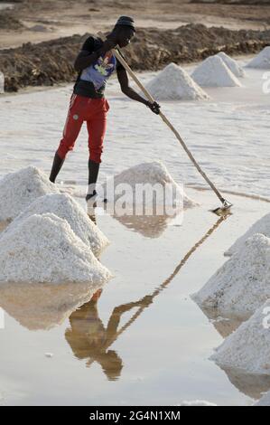 SÉNÉGAL, Kaolack, sel travaille dans des salines, salines de mer dans le delta de la rivière Saloum / Salzgewinnung dans den Salinen der Lagune Saloum Banque D'Images